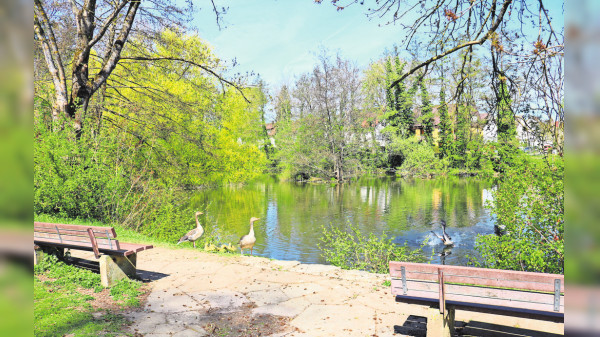 Vaihingen: Ländlicher Charme und internationales Flair