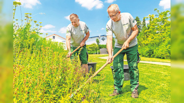Naumann Garten & Landschaftsbau in Weil der Stadt-Merklingen: Top-Qualität in dritter Generation