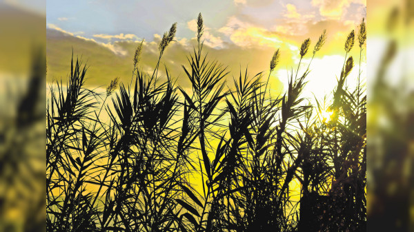 4. Stuttgarter Trauer-Forum: Begleitung in den schwersten Stunden