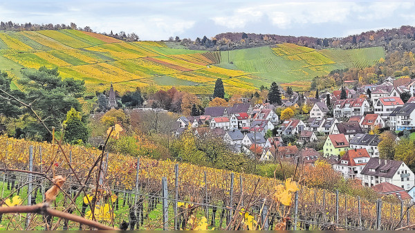 Ein gutes Weinjahr mit Herausforderungen