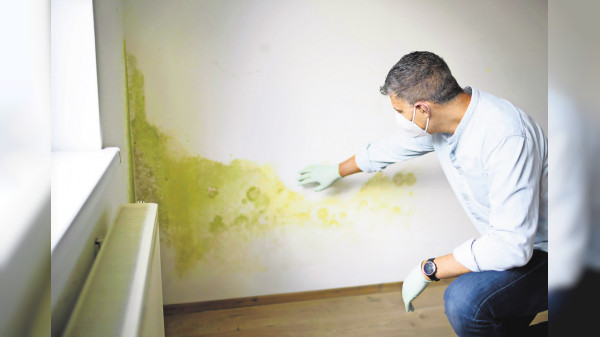 Kleine Baufehler, große Folgen