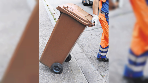 Wohin mit Abfällen rund ums Pflanzen?