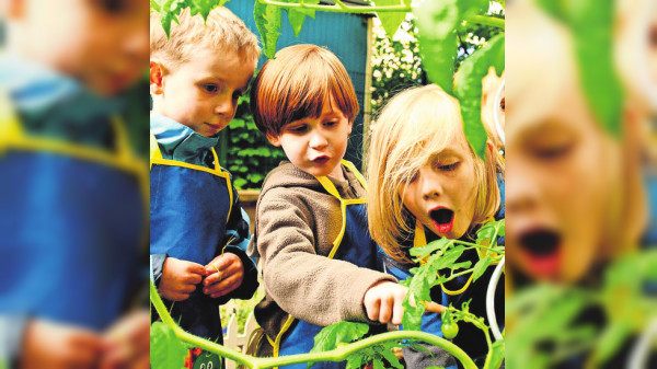 Schritt für Schritt zum Mini-Garten
