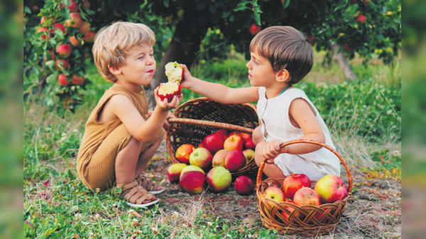 Kau dich fit - und bleib gesund!