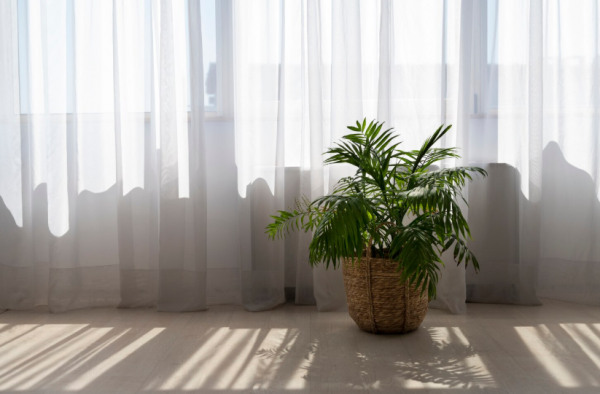 Fenstertausch rentiert sich