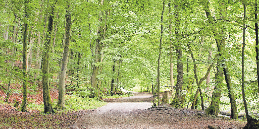 Ruhe finden in Krailling