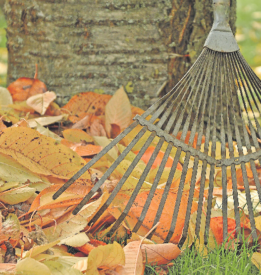 Gartenarbeit im Herbst