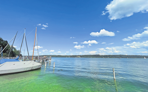 Schlafender Wurm im Starnberger See