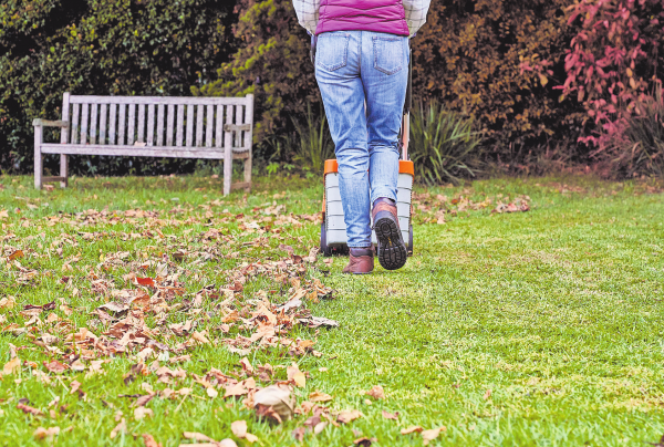 Wellness für den Rasen