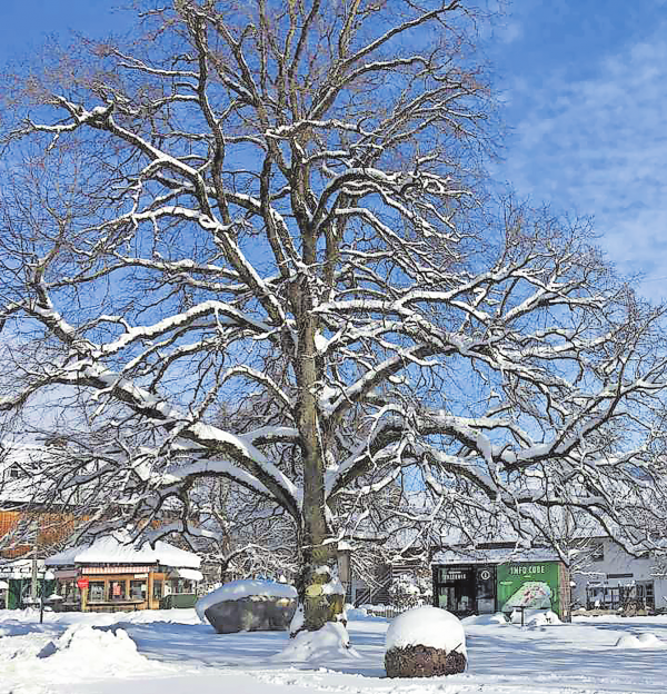 Winterzauber rund um Glonn: Advent, Märkte & Natur erleben