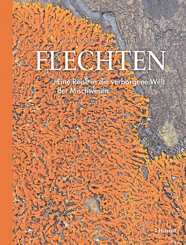 Merkwürdige Mischwesen