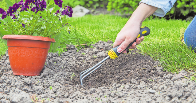 Das Gartenjahr planen