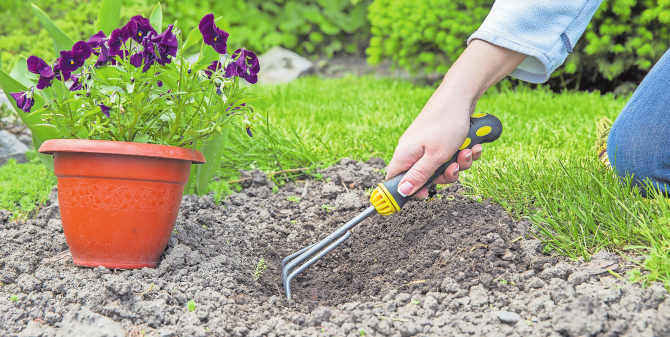 Das Gartenjahr planen