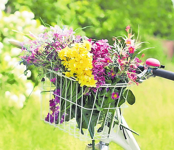 Fahrrad, Flohmarkt, Fun