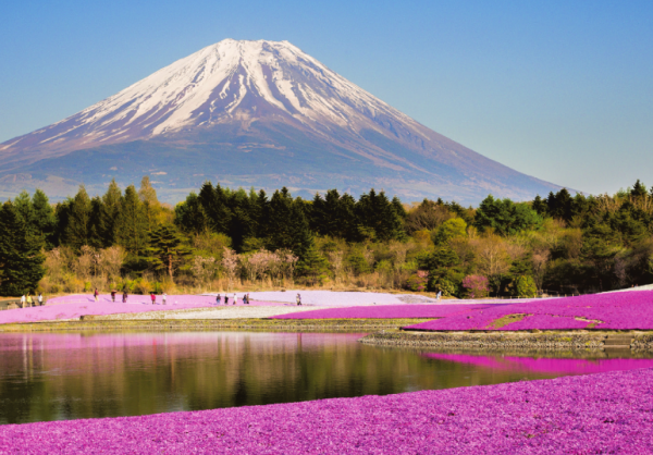 Japan erleben: Tokio, Kyoto und Himeji – Tradition trifft moderne Metropolen