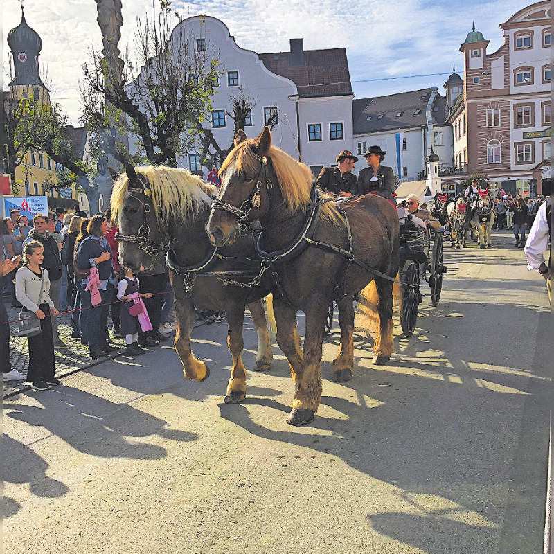 Grafing: Große Vielfalt 