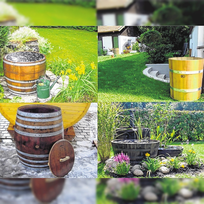 Frühlingsfitness für den Gartenteich