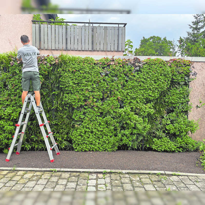 Vertikale Gärten zum Selbermachen