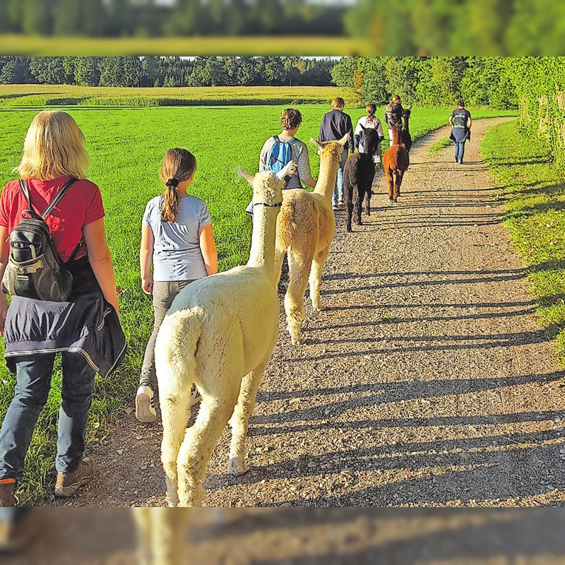 Sommer im Landkreis Dachau