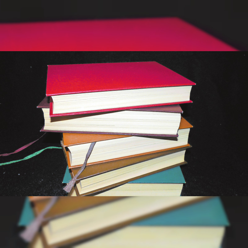 Europa feiert die Literatur