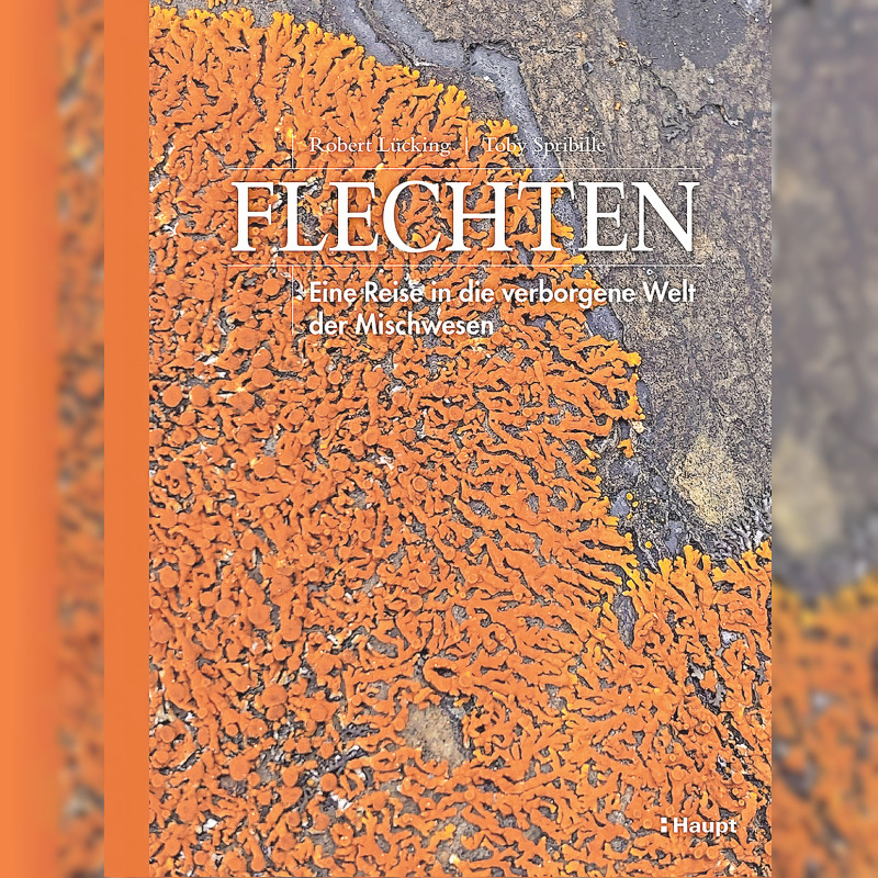 Merkwürdige Mischwesen