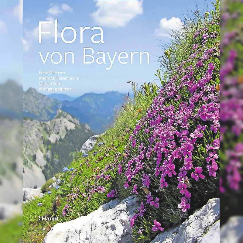 Flora von Bayern: Urwüchsig und einzigartig dokumentiert