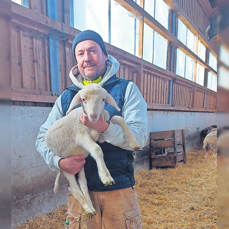 Hingabe und dickes Fell: Der Schäfer-Alltag von Thomas Hoyler