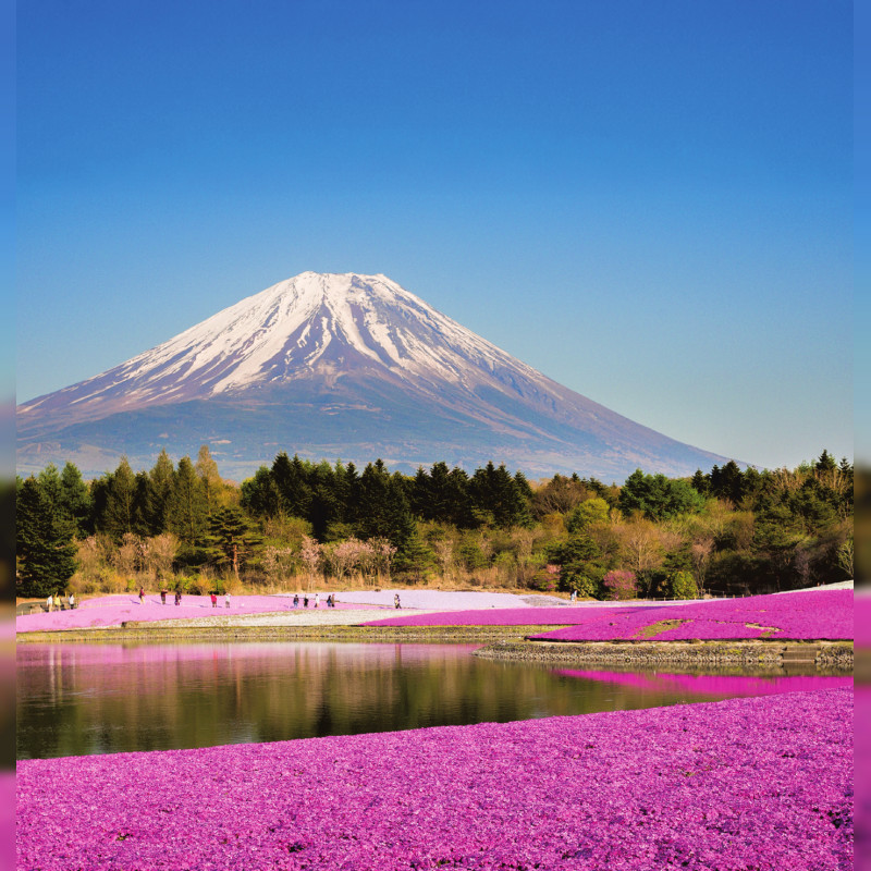 Japan erleben: Tokio, Kyoto und Himeji – Tradition trifft moderne Metropolen