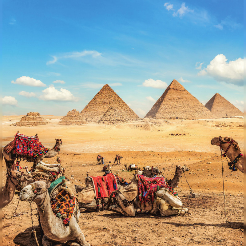 Kairo: Zur Eröffnung des Grand Museums