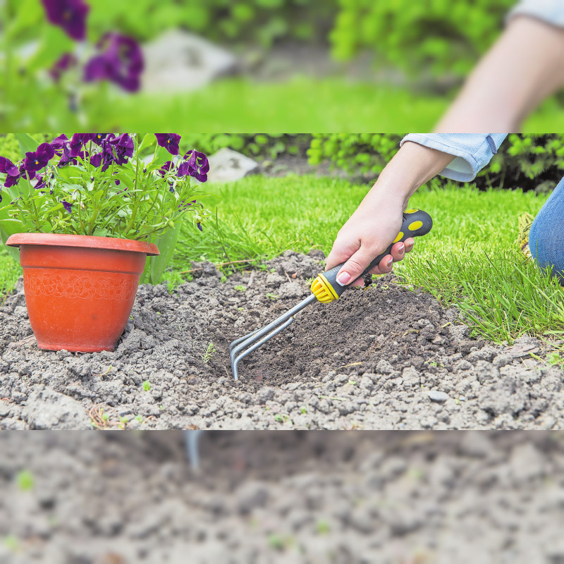 Das Gartenjahr planen