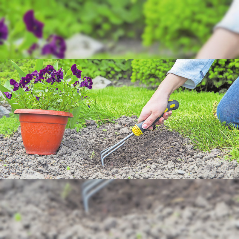 Das Gartenjahr planen