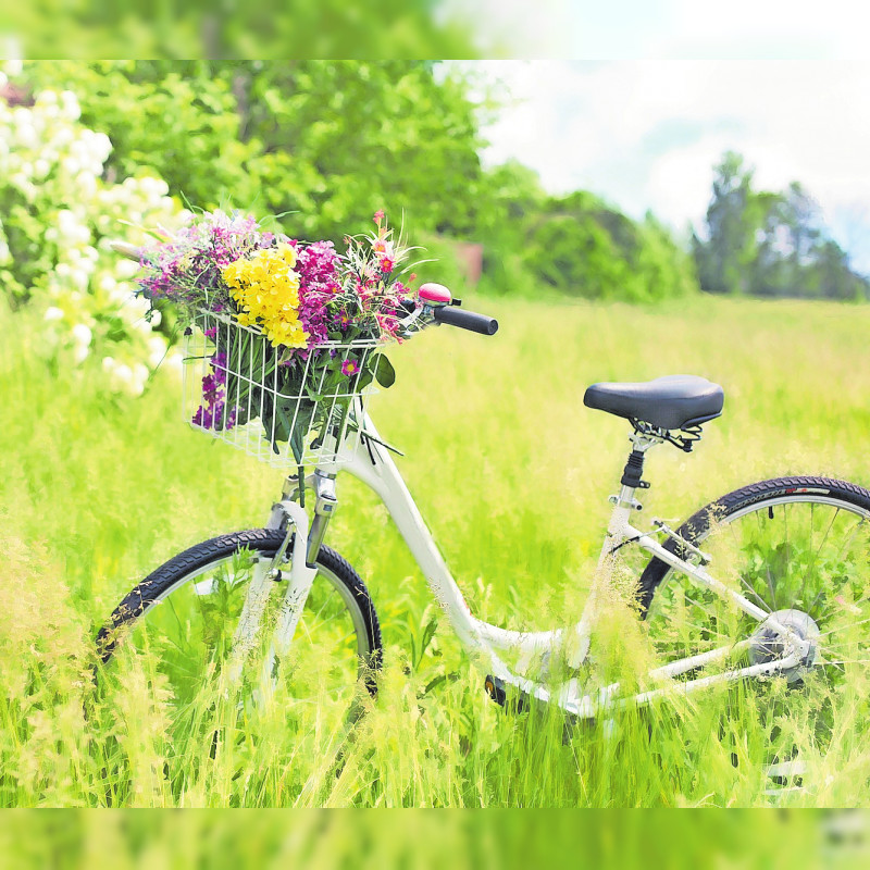 Fahrrad, Flohmarkt, Fun