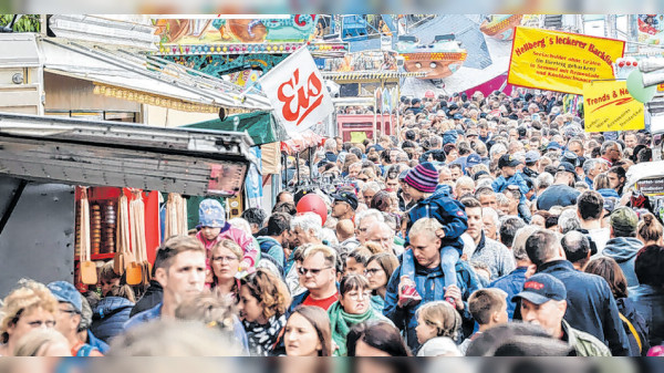 Dibbl oder Gribbl? Welcher Muswiesen-Typ sind Sie?