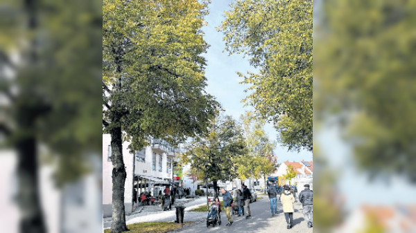 Stadt Langenau: Sicherheit geht vor