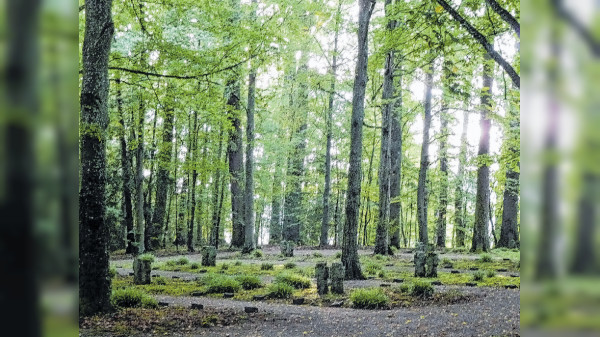 Tübingen: Den Friedhof feiern