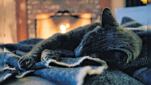Wohlig warm das ganze Jahr