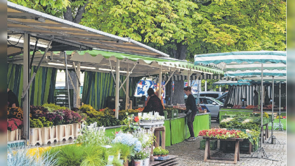 Sommer in Söflingen und im Ulmer Westen