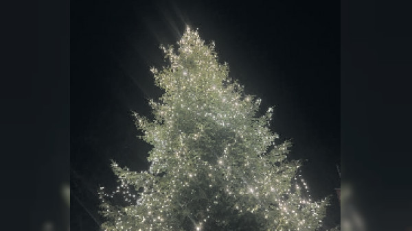 Beleuchtung richtig anschließen