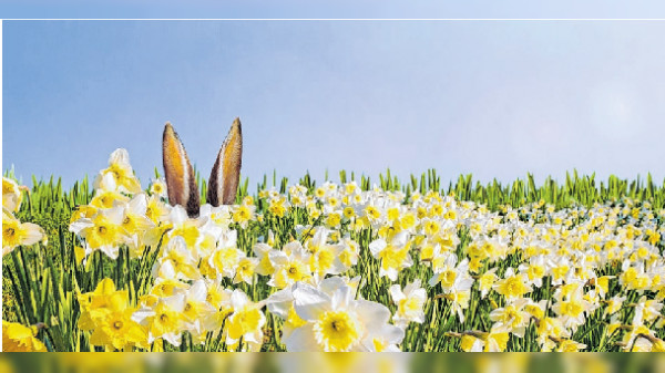 Der Frühling ist so nah