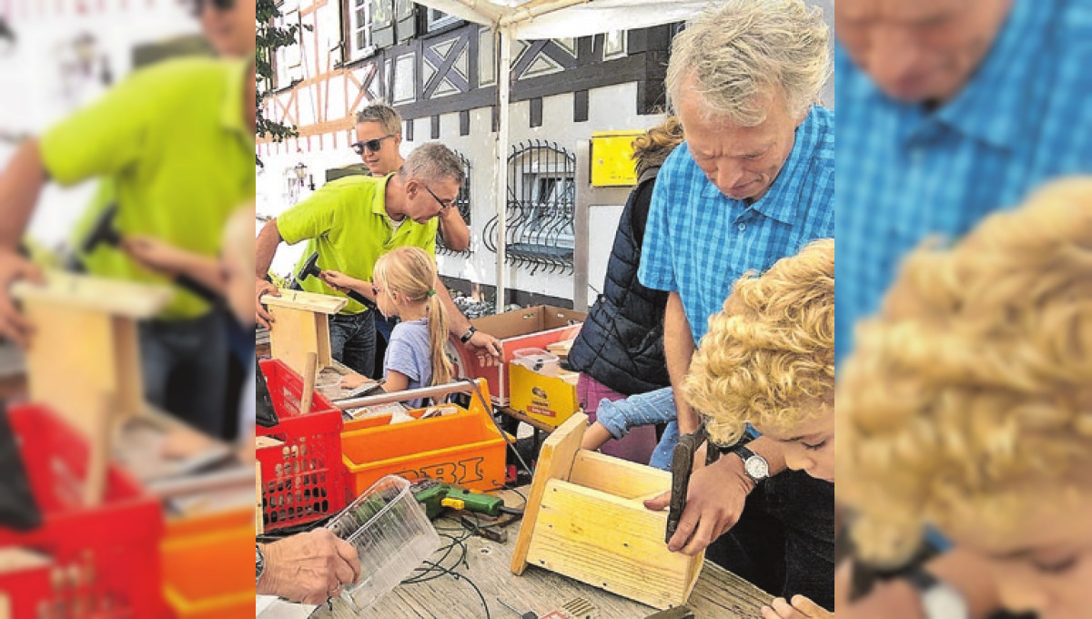 Nistkästen bauen 