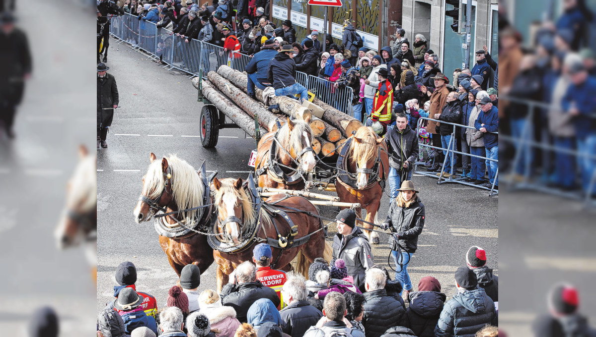 Gaildorfer Pferdemarkt: Märkte haben Tradition