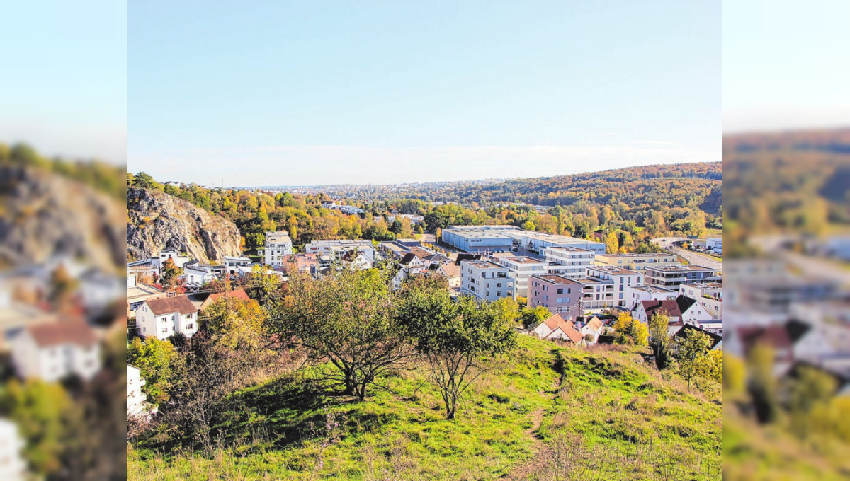 Junge Stadt in stetiger Entwicklung: In Blaustein ist weiterhin viel in Bewegung