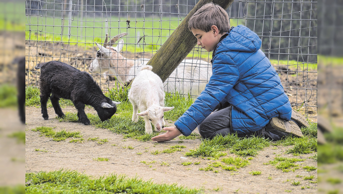 Ab auf den Bauernhof