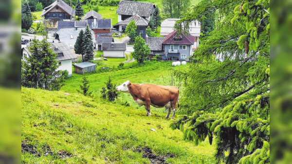 Nersingen und Ebene Reichenau : Zwei Gemeinden, die harmonieren