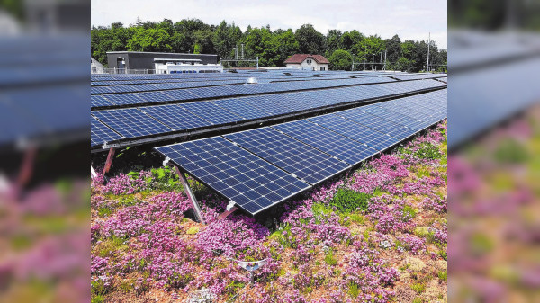 Sonne & Grün: Dächer sinnvoll nutzen
