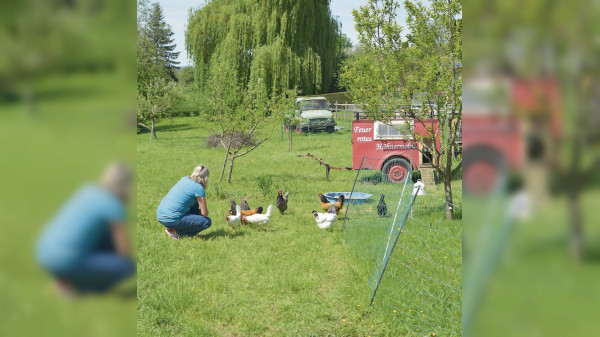 Im Garten von Sylvia Schmon: Entspanntes Paradies für Mensch und Huhn