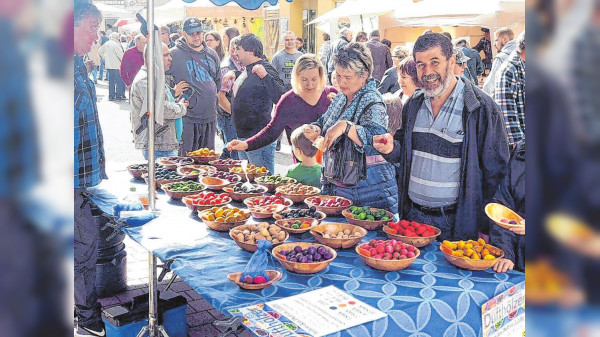 Herbstmarkt Dornstetten: Verkaufsoffene Läden