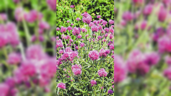 Knallige Farben