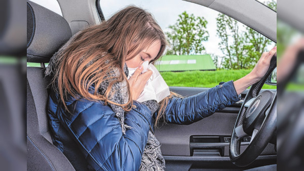 Was hilft gegen Pollen im Auto?