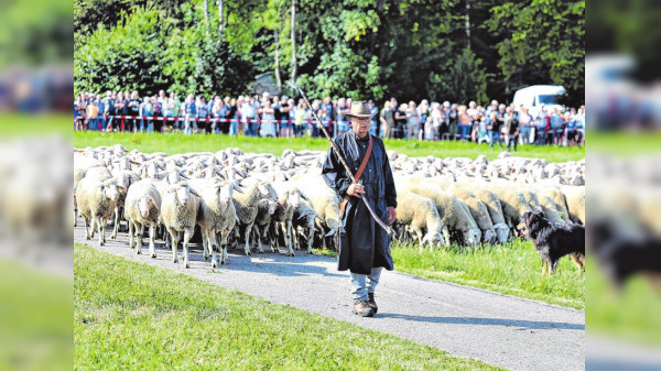 Schäferlauf in Bad Urach